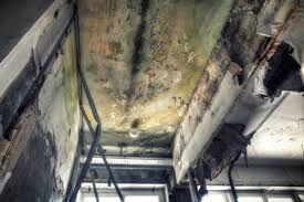 Best Mold Removal for HVAC Installations  in Bristol, WI